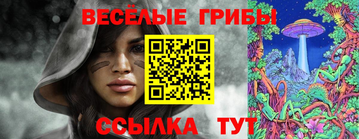 Псилоцибиновые грибы Psilocybe Ачинск